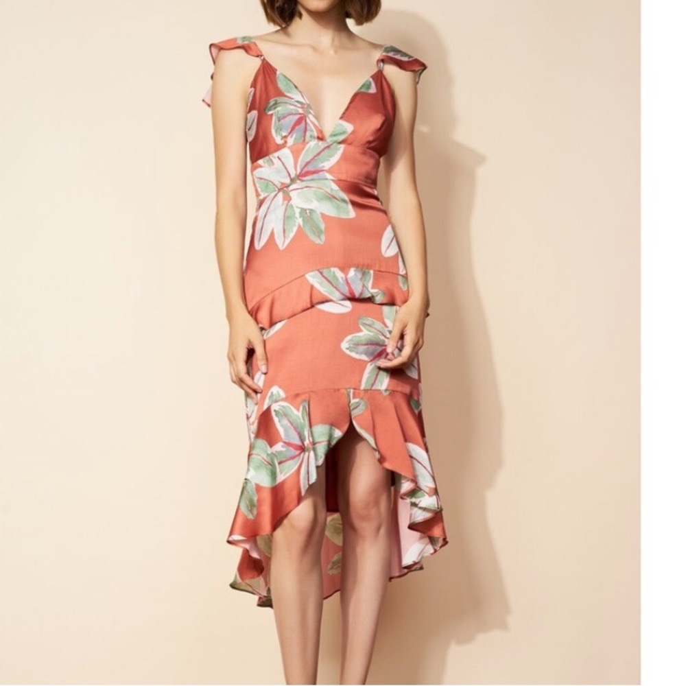 Hutch Waverly dress size 12 - never worn!!